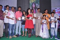 Panchami Audio Function